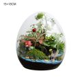 【HOT】 Creative Egg-Shaped Glass Bottles Succulent Glass Vase Hydroponic Fleshy Micro Landscape Glass Terrarium Moss Home Decoration. 