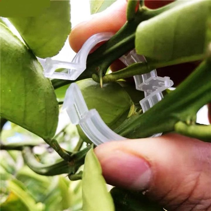 50Pcs%20Plastic%20Plant%20Clips%20Supports%20Connects%20Reusable%20Protection%20Grafting%20Fixing%20Tool%20Gardening%20Supplies%20for%20Vegetable%20Tomato%20-%20Image%204