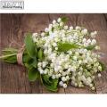 DIY Diamond Embroidery Lily of the valley Decorative Pictures of Rhinestones Hobbies Crafts Wedding LK1. 