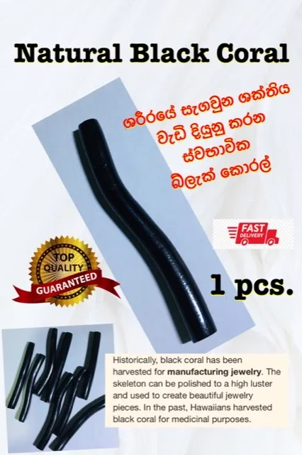 Natural%20Black%20Coral%201pcs.%20-%20Image%206