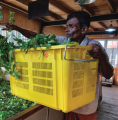 Food Grade Jumbo Plastic Crate (Meshed) And Metal Handle with 116 LTR Storage Capacity and 60 Kg Loading Capacity For Agricultural and Domestic Usage - Size  700 (L) X 490 (B) X 420 (H). 