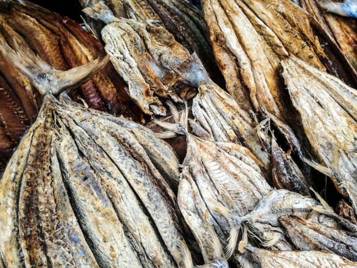 Premium%20Dried%20Tuna%20Fish%20Multipack%20-%20Low%20Fat,%20Healthy%20Snack%20Option%20-%20Image%206