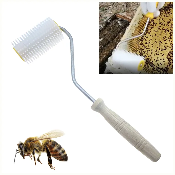 Uncapping Roller Honey Harvesting Extracting Using Spikes Pierce Wax ...