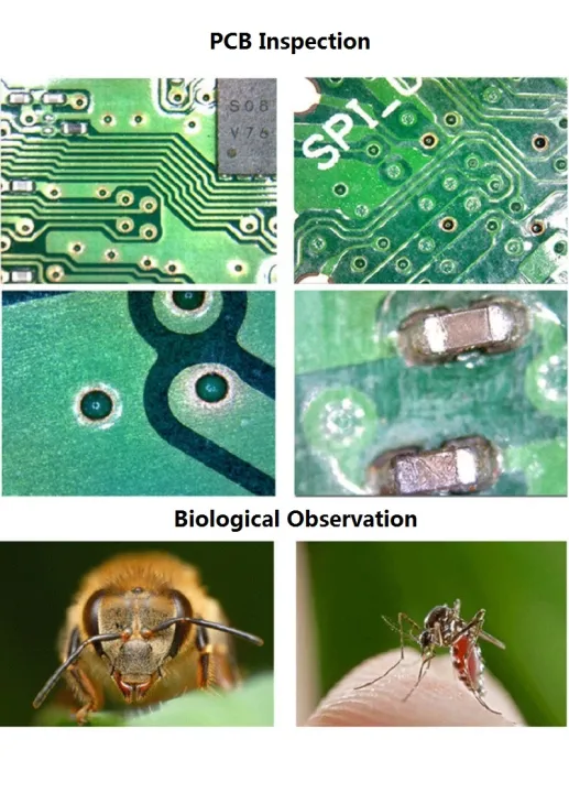 1000X%202.0MP%205.0MP%20Digital%20Microscope%204.3%20Inch%20LCD%20Screen%208%20LED%20USB%20Digital%20Electronic%20Microscope%20for%20PCB%20Repair%20Video%20Microscope%20-%20Image%207