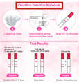 ONE STORE-Pregnancy Test Ovulation Test Pregnant Hamil Ovulasi Strip 1pc. 