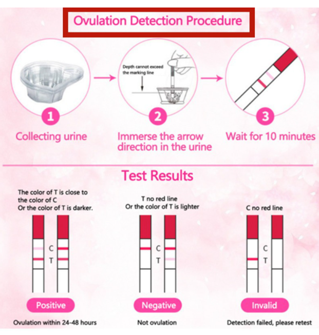 ONE%20STORE-Pregnancy%20Test%20Ovulation%20Test%20Pregnant%20Hamil%20Ovulasi%20Strip%201pc%20-%20Image%202