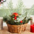 Artificial Pine Branches Cedar Sprig Pine Winter Leaves Christmas Snowy Greenery Branches for DIY Garland Home Garden Vase Decoration. 