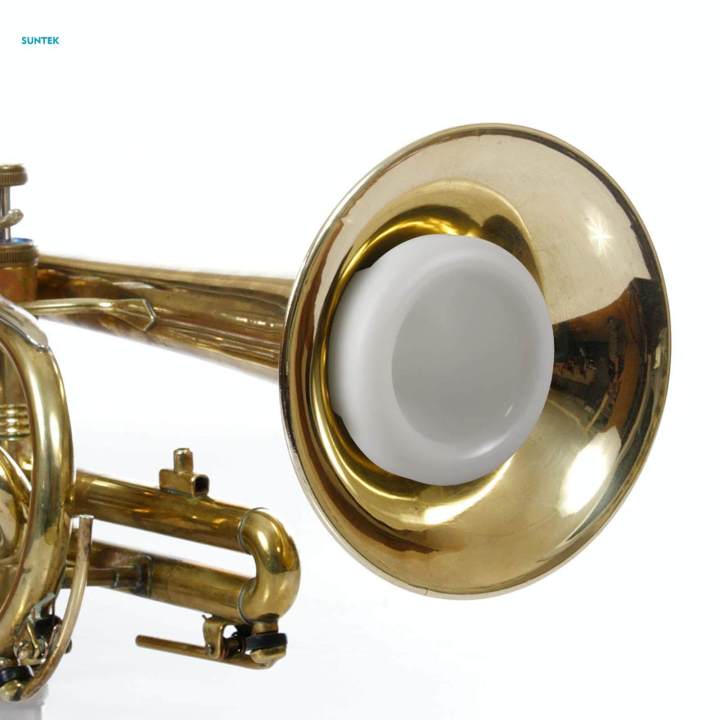 Instrument Mouthpiece Trumpet Mouthpiece for Beginner Musician Wind Instrument