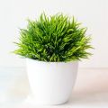 1 Pcs Artificial Plants Potted Green Bonsai Small Tree Grass Plants Pot Ornament Fake Flowers for Home Garden Decoration Wedding Party. 