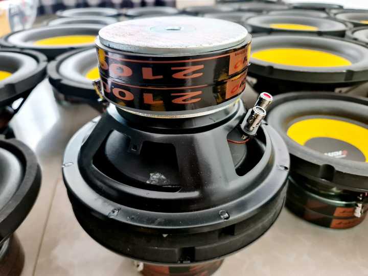 J%20AUDIO%2010%20inch%20speaker%20double%20coil%20Sub%20speaker%20-%20Image%203