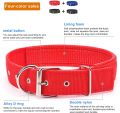 Medium Dog Collar Adjustable Soft Nylon Padded Cushion Necklace Pet Puppy Dog Belt Blue Black Red Green Collars Safety Dogs Belt Dog Strap Accessory Metal Buckle Pets Dog Chain Dogs Sale Sri Lanka Dogs Sale Strip Lanka Dogs Sell Pets Dog Sale. 