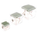 Black Widow Spider Small Insect Terrarium Transparent Reptile Breeding Box. 