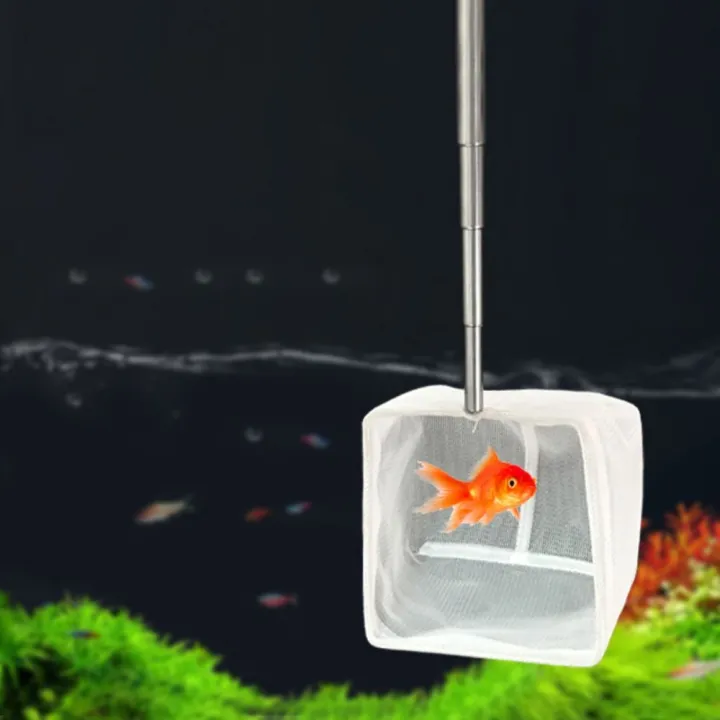 Image showcasing Pond Net Telescopic Goldfish Net Long Handle Stainless Steel Fish Fish ...