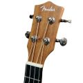 Fender/ Gravier Concert/ Tenor Ukulele with Tuner + Equalizer  - 23,26 Inch Professional Musical Instrument Ukelele With Bag for Adults/ Kids 04 Strings Nylon Premium Mahogany. 