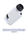 Pocket Scientific Microscope (60-120X). 
