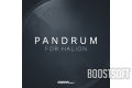 Cinematic Instruments – Pandrum. 