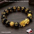 Feng Shui Lucky Bracelet for Men and Women Lucky Fen Shui fenshui statues coins head set Bracelet Wealth Unisex Resin Beads (9mm/11mm/13mm). 