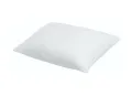 Micro Fiber Pillow - 17"x23". 