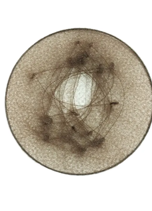 Hair%20Nets%20Invisible%20Elastic%20Edge%20Mesh%20Individual%20Package%20Invisible%20Hair%20Nets%20for%20Bridal%20Bun,%20Ballet%20Bun%20For%20Women%20Brown/Black%2036%20units%20pack%20-%20Image%205