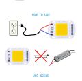 50W COB Flasher Flood Light Cold White LED Chip AC 220V Smart COB Lamp Bead No Need Driver for Flood Light Spotlight Outdoor Chip Lamp DIY Lighting Kit. 