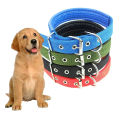 Medium Dog Collar Adjustable Soft Nylon Padded Cushion Necklace Pet Puppy Dog Belt Blue Black Red Green Collars Safety Dogs Belt Dog Strap Accessory Metal Buckle Pets Dog Chain Dogs Sale Sri Lanka Dogs Sale Strip Lanka Dogs Sell Pets Dog Sale. 