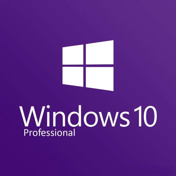 Windows 10 Professional (Pre-Activated) bootable DVD