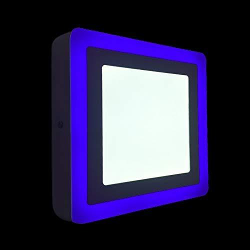 (18+6) 18 Watt LED Side Blue (6W) and White (18W) Square Surface Panel Light Ceiling (Double Color)