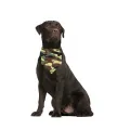 Pet Dog Bandana (Camouflage Pattern) Cat Puppy Kerchief Pet Dog Accessories Neckerchief Scarf Towel Premium Durable Soft Lightweight Fabric. 