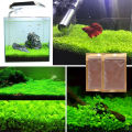 10 Grams of Aquarium Plant Seeds Soil Water Aquatic Plant Love Grass Substrate Soil Decor Fish Tank grass seeds  Aquarium Plants Aqua Soil Aquatic Plant Seeds Water Grass Seeds for Aquarium Landscaping Decoration. 