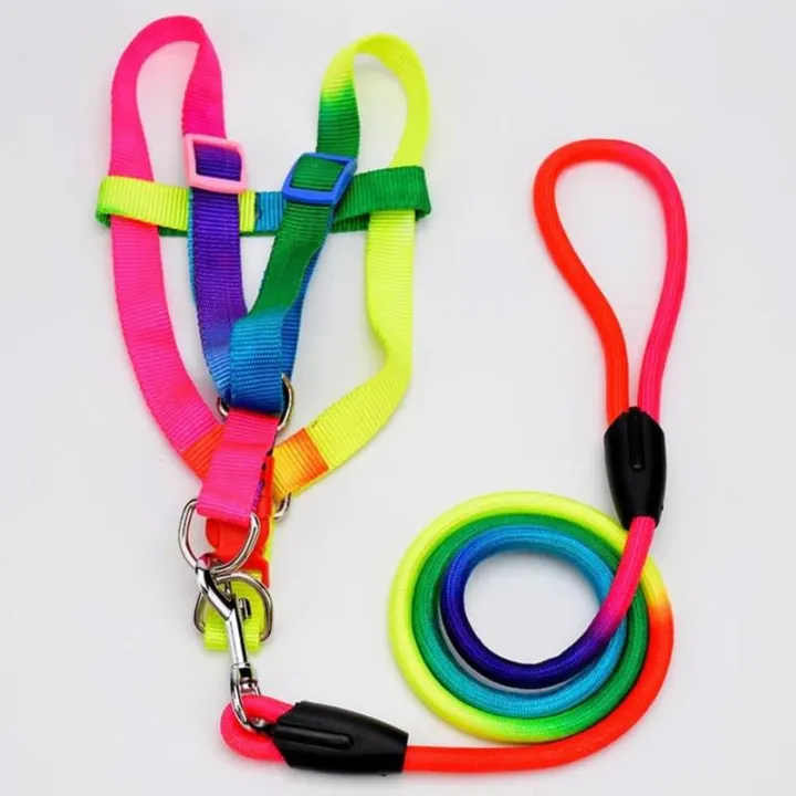 Cat and Dog Harness and Leash Set Vest Leash Collar Set Adjustable Rainbow