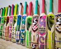 Softball cricket bat. 