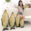 20/30/40cm Creative Simulation Crucian carp Fish Grass Carp Salted fish Cute Cartoon Cat Plush Pillow Toy Gift. 