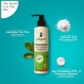 Pilgrim Australian Tea Tree Non-Drying Anti-Dandruff Shampoo 200 ml | Removes Dandruff from Source | Helps with Itching, Irritation | Strong & Smooth Hair | For Men & Women |(FROM INDIA). 