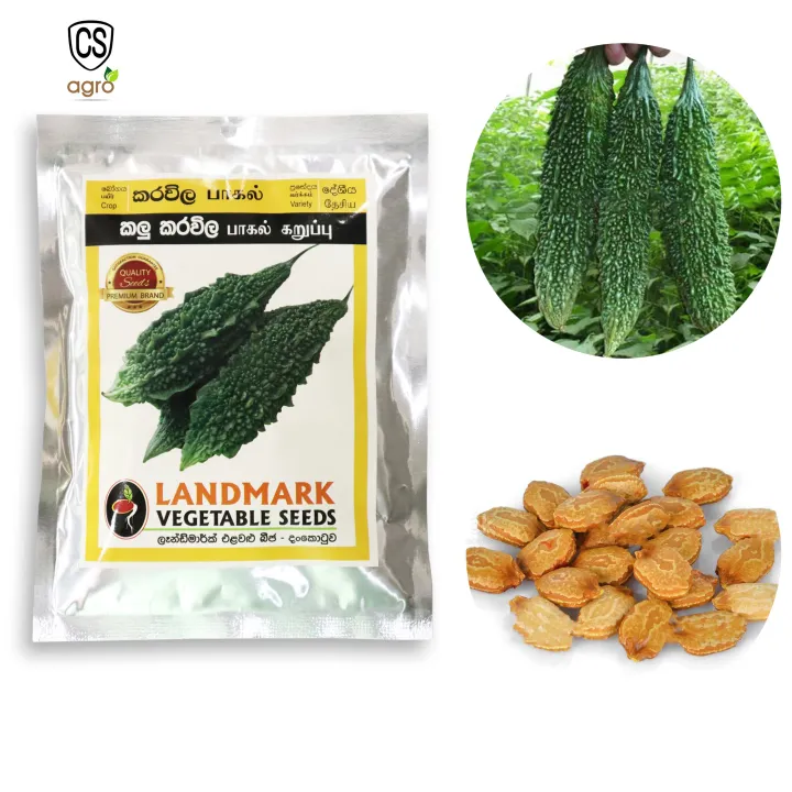 Black%20Local%20Bitter%20Gourd%20Seeds%20%E0%B6%9A%E0%B7%85%E0%B7%94%20%E0%B6%9A%E0%B6%BB%E0%B7%80%E0%B7%92%E0%B6%BD%20%E0%B6%B6%E0%B7%93%E0%B6%A2%2050g%20-%20Image%202