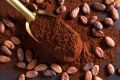 Organic Cacao Powder - 1KG Original Chocolate. 
