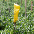Sticky Paper For Insect Attraction Yellow Glue Trap Home Gardening Agriculture. 