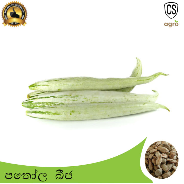 Pathola%20Short%20Snake%20Gourd%20Seeds%20Home%20Gardening%20Agriculture%20-%20Image%202