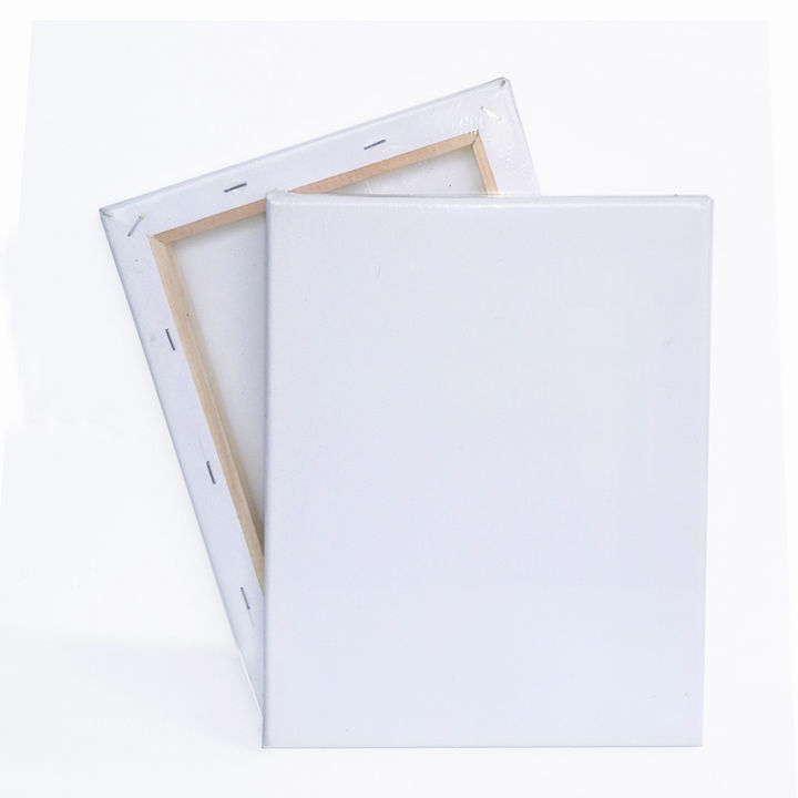 50 x 50 cm Stretched Artist Canvas Board for Artwork Painting - White Blank with Wooden Frame - Acrylic Oil Paint