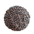 Thai Water Spinach Seeds Kang Kong Beeja කංකුං බීජ 50g. 