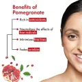 Good Vibes Pomegranate Glow Toner 120 ml, Anti Ageing Hydrating Light Weight Moisturizing Face Spray Toner for All Skin Types, Natural, No Alcohol, Parabens & Sulphates, No Animal TestingFROM INDIA)NUSS. 
