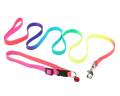 Pet Dog Leash Lead with Rainbow Colors Colorful for Small and Mediume Dogs. 