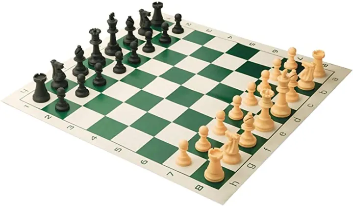 Chess%20Roll%20Board%20with%20carry%20Case%20(Small-13.5%20inch%20x%2013.5%20inch%20)%20-%20Image%203