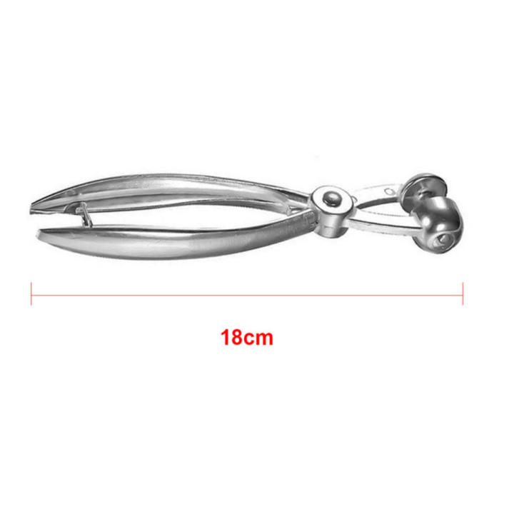 Cherry%20Olive%20Pitter%20Stoner%20Pits%20Seed%20Fruit%20Remover%20Core%20Tool%20Corrosion%20Resistant%20-%20Image%208