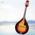 Mandolin Musical Instrument 8 String Acoustic Mandolin Stringed Toy Instrument for Practice Concert. 