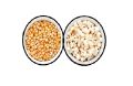 Popcorn making seeds -  2.5Kg. 