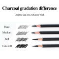 Charcoal/Carbon Pencil 12pcs Soft/Medium/Hard/Extra-soft Drawing Charcoal Pens Art Supplies C7300. 