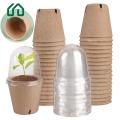 Lumina Root Observation Plant Pot Biodegradable Plant Nursery Pots with Humidity Dome Eco-friendly Starter Pots for Gardeners. 