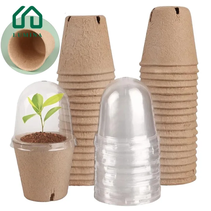 Lumina%20Root%20Observation%20Plant%20Pot%20Biodegradable%20Plant%20Nursery%20Pots%20with%20Humidity%20Dome%20Eco-friendly%20Starter%20Pots%20for%20Gardeners%20-%20Image%205