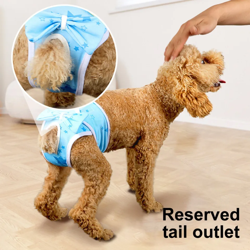 Dog Menstrual Pants Reusable Dog Diapers for Female Dogs in Heat