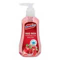 Champion Hand Wash - Delum Red 200 Ml. 